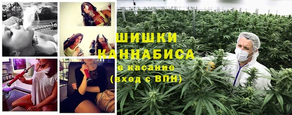 прущие грибы Приозерск