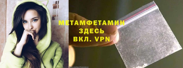 прущие грибы Приозерск