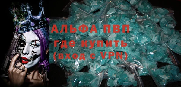 прущие грибы Приозерск