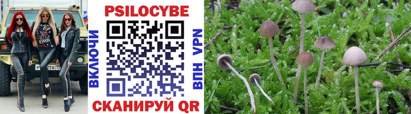 Псилоцибиновые грибы Psilocybine cubensis  Фролово 