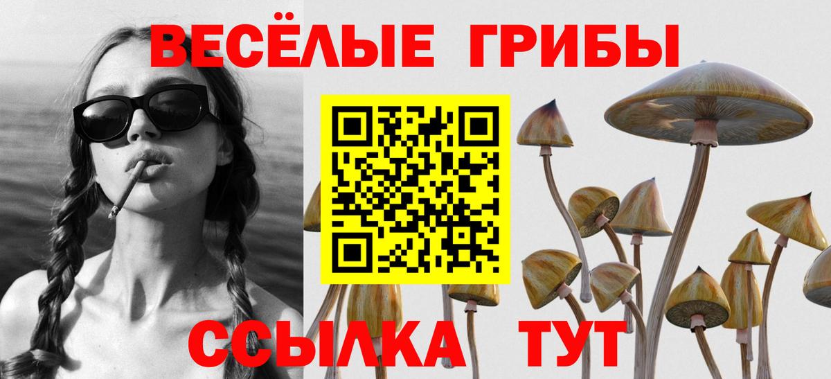 Псилоцибиновые грибы ЛСД  Вход с VPN  Фролово 
